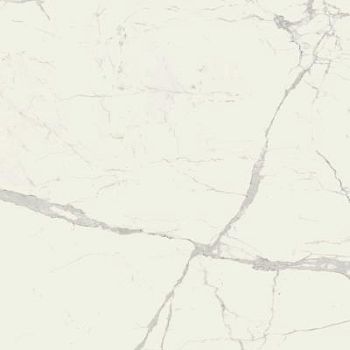 Statuario Rettificato 120x120