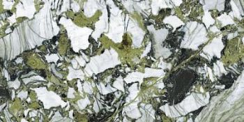 Garden Green Polished 60x120