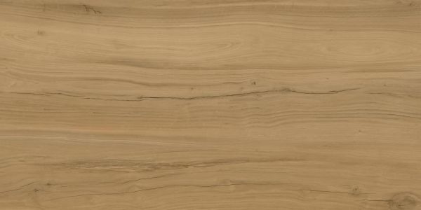 Alleya Brown 60x120