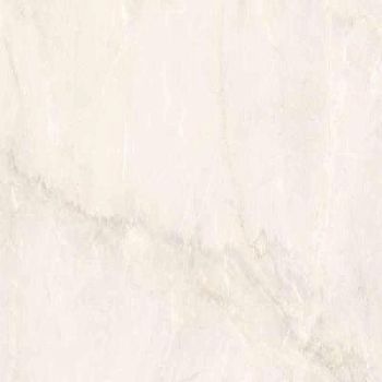  Sybil Ivory Rettificato 60x60