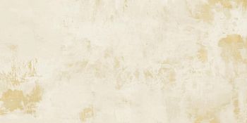 Apavisa Mood Ivory Natural 49.75x99.55