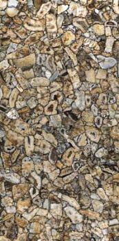 Atena Luc Shiny 6 mm 150x300