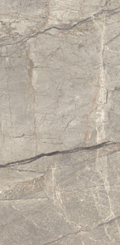 Amazing Silver Matt 60x120