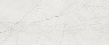 Omnia White Hond 120x300