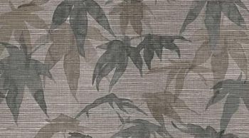 Ornatus 50x100