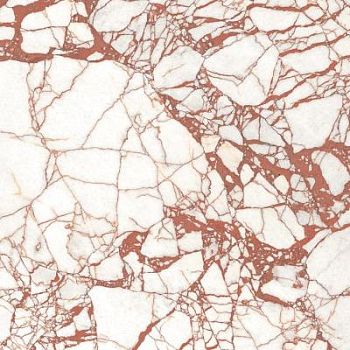 Supreme Hedonism Calacatta Dante Lux 120x120