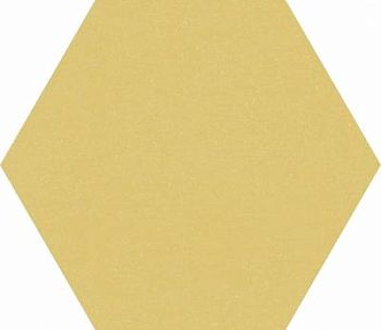 Senape Esa 21.6x25