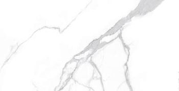 Statuario Classici Matt 60x120