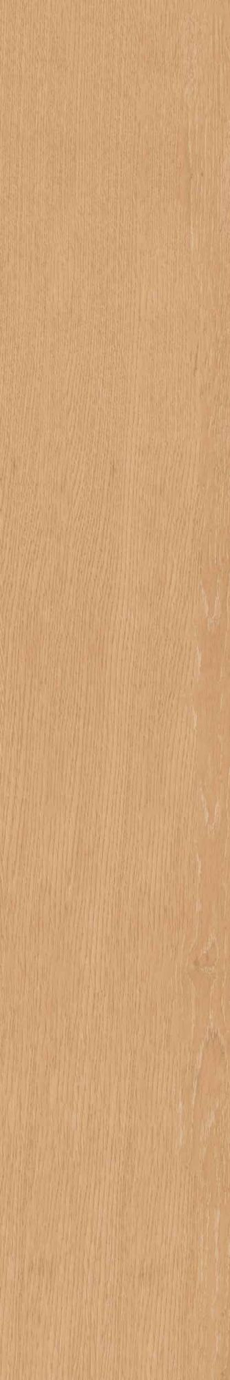 Керамогранит CW 04 19.4x120 Керамогранит CW 04 19.4x120