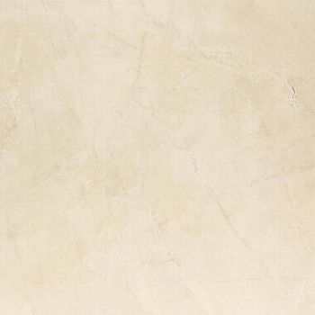 Bone Rectified Polished Nano