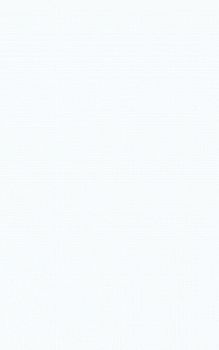 Плитка Poluna white 25х40