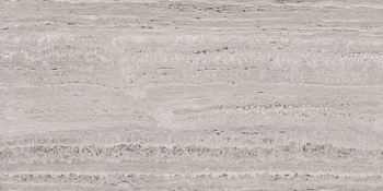 Liceo Grey PL Rect. 60x120