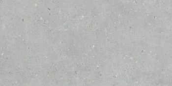 Серый Матовый 60x120